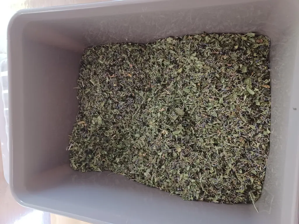 L'A site internet vrac.webp