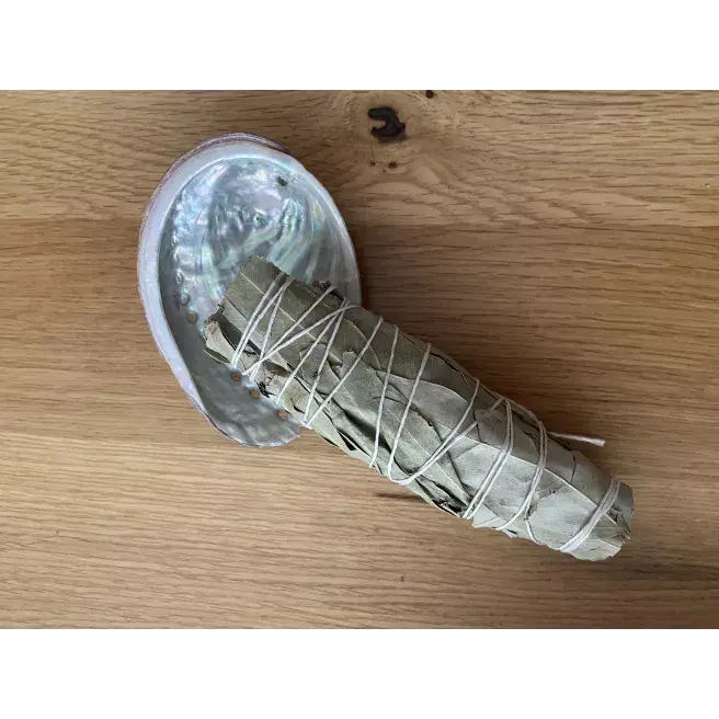 coquille-d-ormeau 2.webp