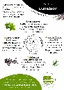 Pack Tisane Lunaison Feux follets.webp