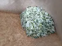 Houblon cône.webp