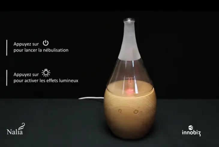 Capture d'écran 2025-01-31 145057.webp