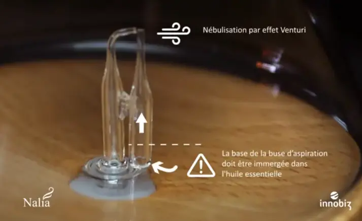 Capture d'écran 2025-01-31 145036.webp