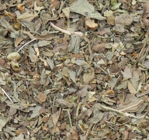 basilic Fe