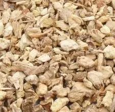 galanga Rh
