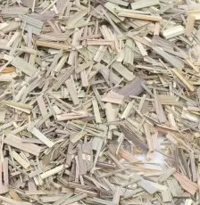 citronnelle Fe