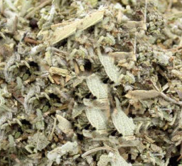 sauge officinale Fe