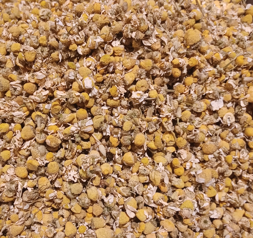 camomille matricaire Fl