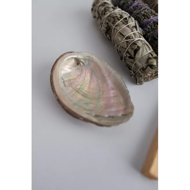 Coquille d'ormeau 1 pièce