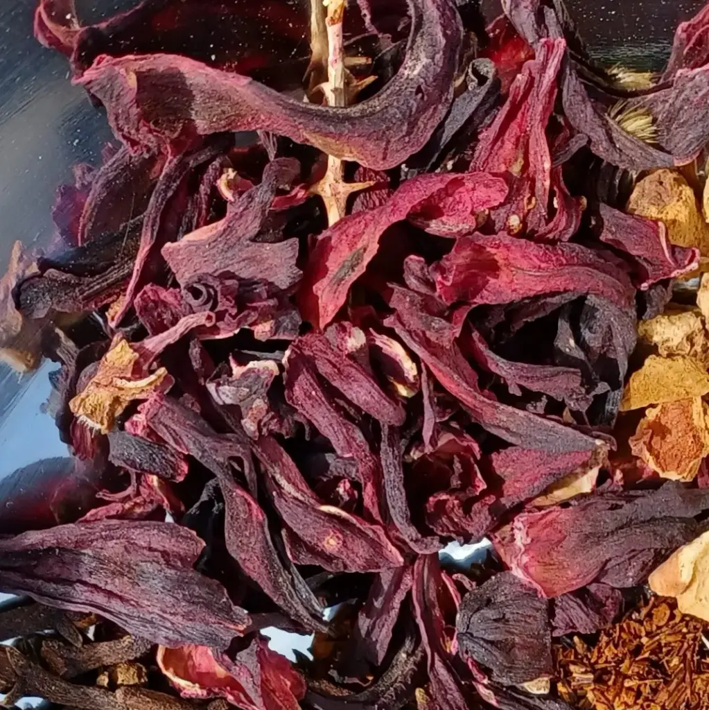 hibiscus Fl