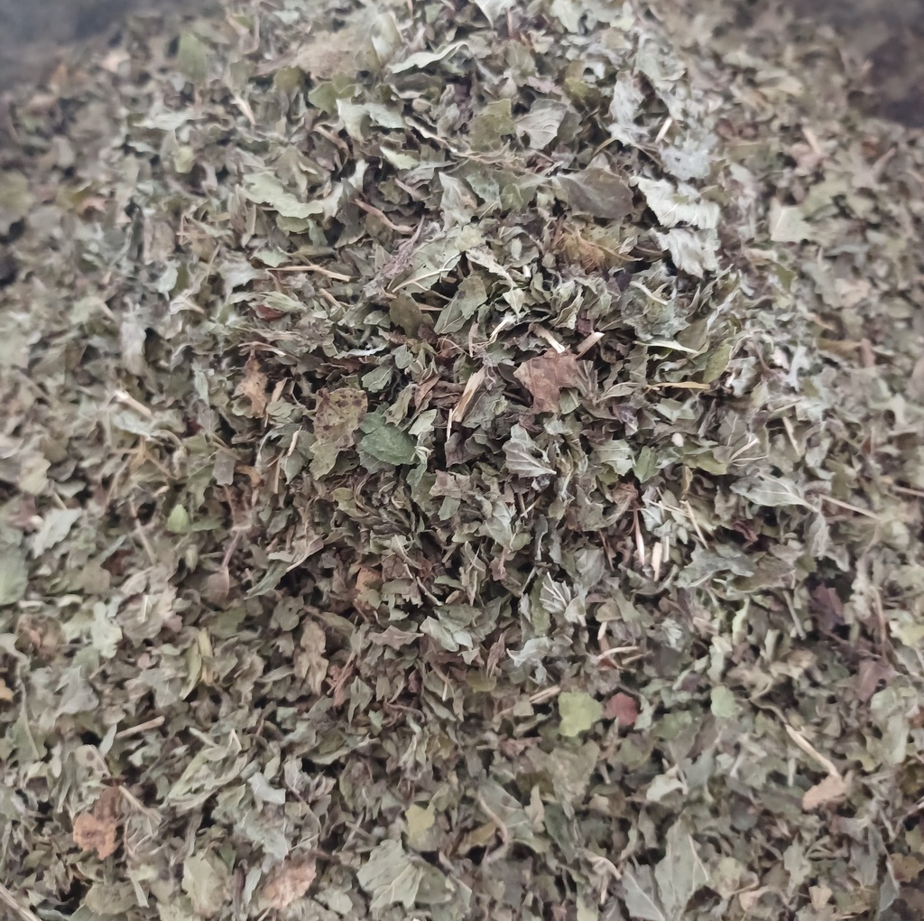 mélisse citronnée Fe