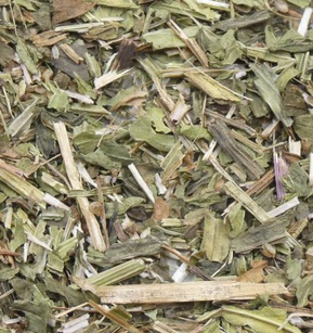 plantain lancéolé PA