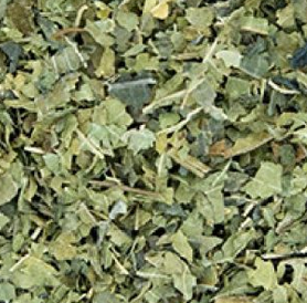 verveine citronnée Fe