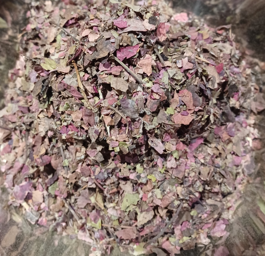 vigne rouge Fe