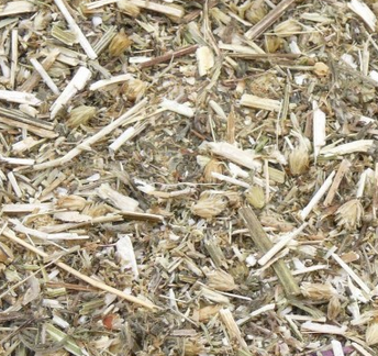 achillée millefeuille PA