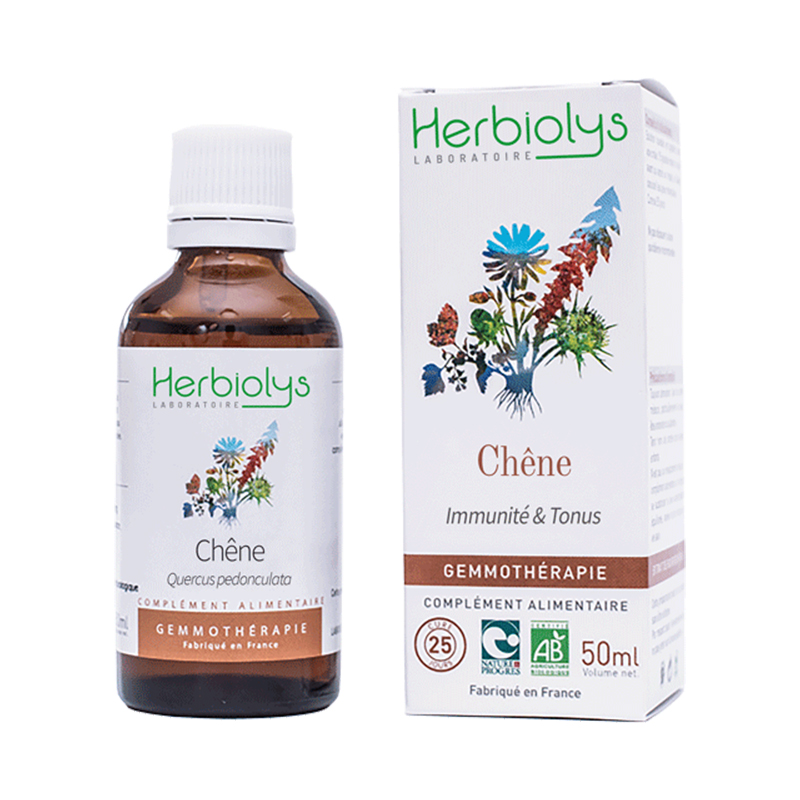 Gemmo chêne pédonculé 50ml 