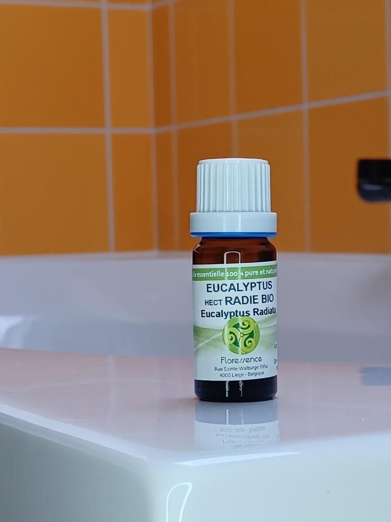 HE Eucalyptus Radié Bio 10mL