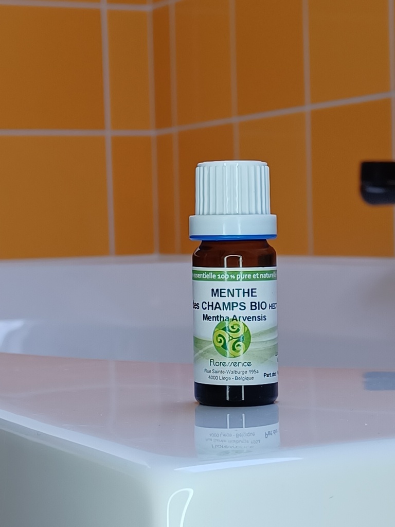 HE Menthe des champs Bio 10mL 