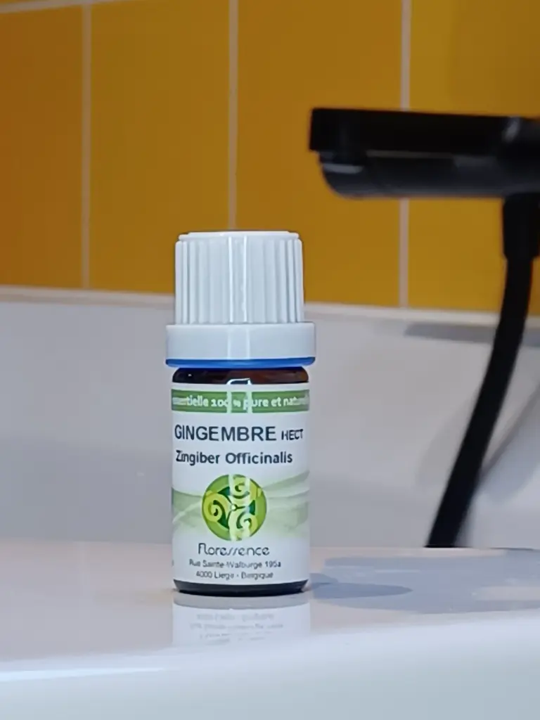 HE gingembre 5mL 