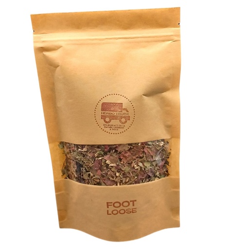 [PROTIS09B] Footloose sachet