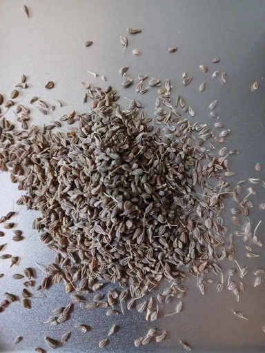 [PS0114B] anis vert SE