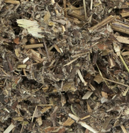 [PS011813C] armoise commune PA