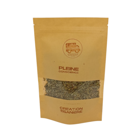 [PROTIS12B] Pleine conscience sachet