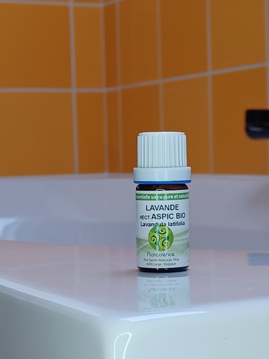 [HE120101A] HE Lavande Aspic à Cinéole Bio 5mL