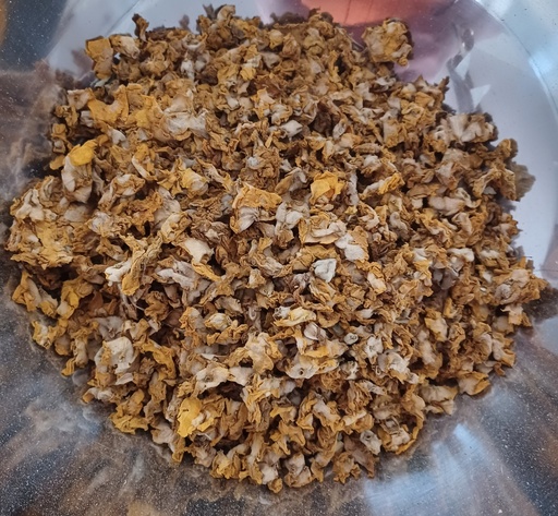[PS0215A] bouillon blanc Fl