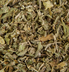 [PS0401A] damiana Fe
