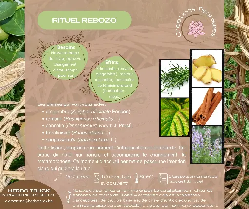 [PROTIS22] Rituel Rebozo
