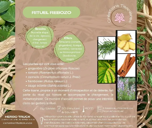 [PROTIS22B] Rituel Rebozo sachet