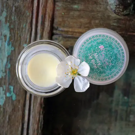 [COSM0105003H] Baume à lèvres Menthe 5g 