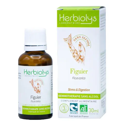 [GEM0609SA] Gemmo figuier sans alcool 30ml 