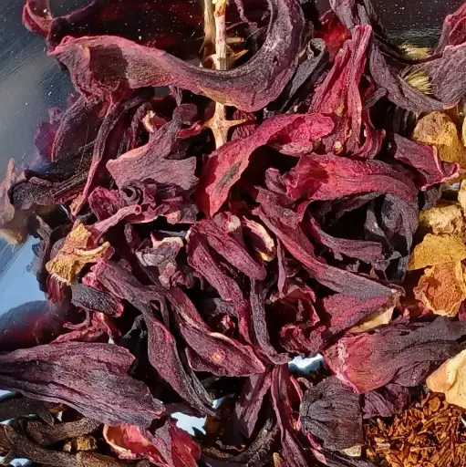 [PS0809B] hibiscus Fl