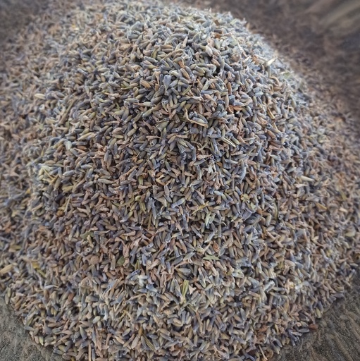 [PS1201C] lavande Fl