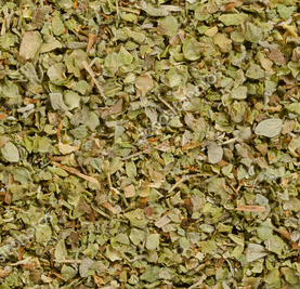 [PS1301B] marjolaine Fe