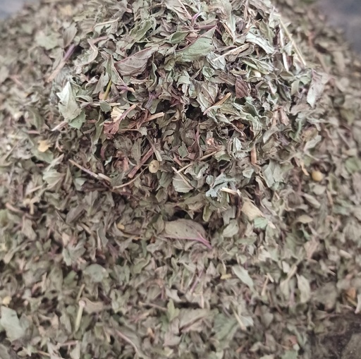 [PS130516C] menthe poivrée Fe