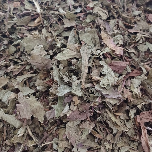 [PS1609C] pissenlit Fe