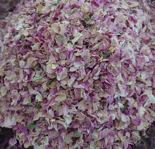 [PS1816B] rose de Damas Pé