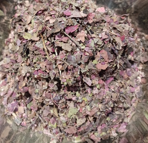 [PS2209C] vigne rouge Fe